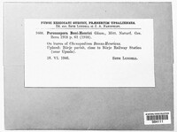 Image Associated With the Occurrence